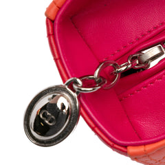 Medium Bicolor Lambskin Cannage Lady Dior