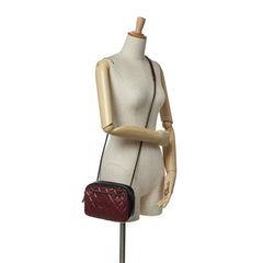 Small Bicolor Quilted Calfskin Ballerine Camera Bag