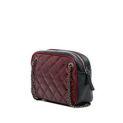 Small Bicolor Quilted Calfskin Ballerine Camera Bag