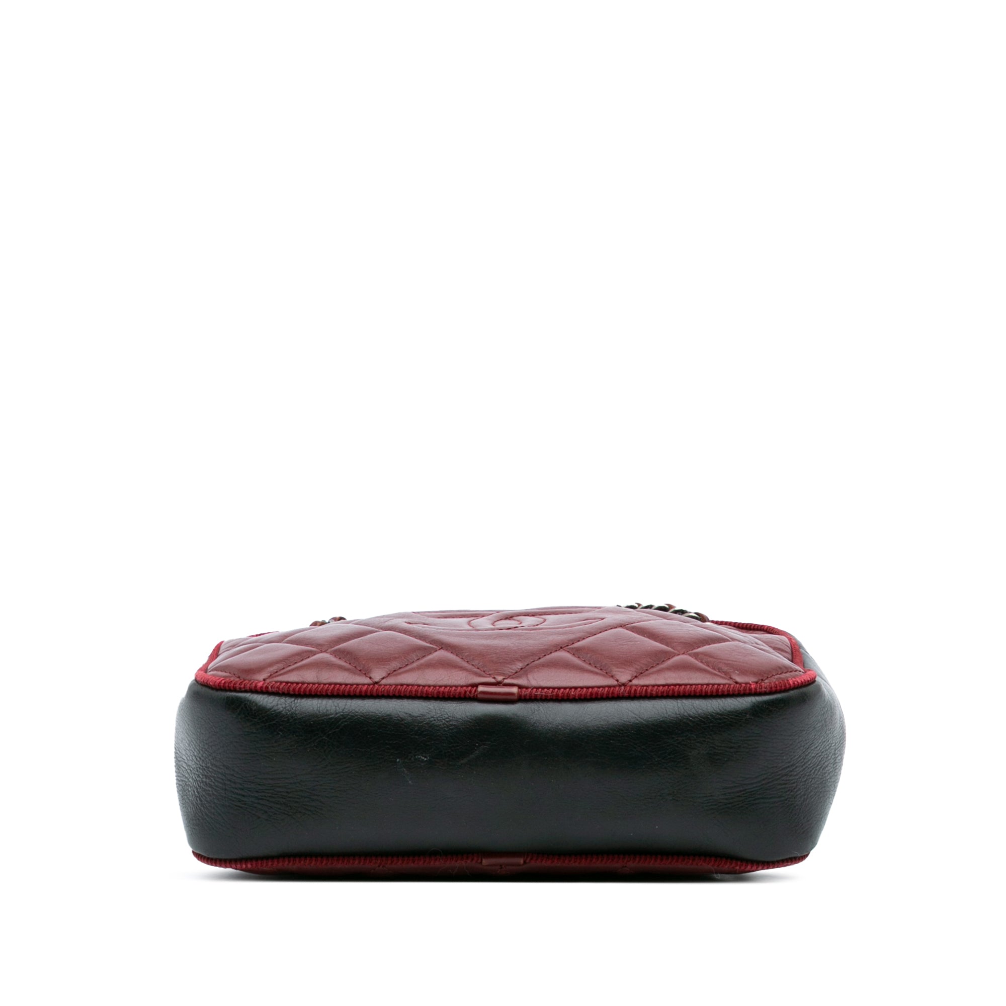 Small Bicolor Quilted Calfskin Ballerine Camera Bag