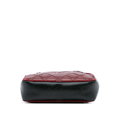 Small Bicolor Quilted Calfskin Ballerine Camera Bag