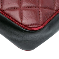 Small Bicolor Quilted Calfskin Ballerine Camera Bag