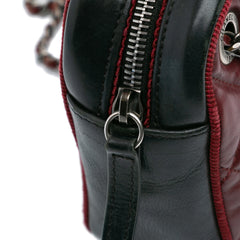 Small Bicolor Quilted Calfskin Ballerine Camera Bag
