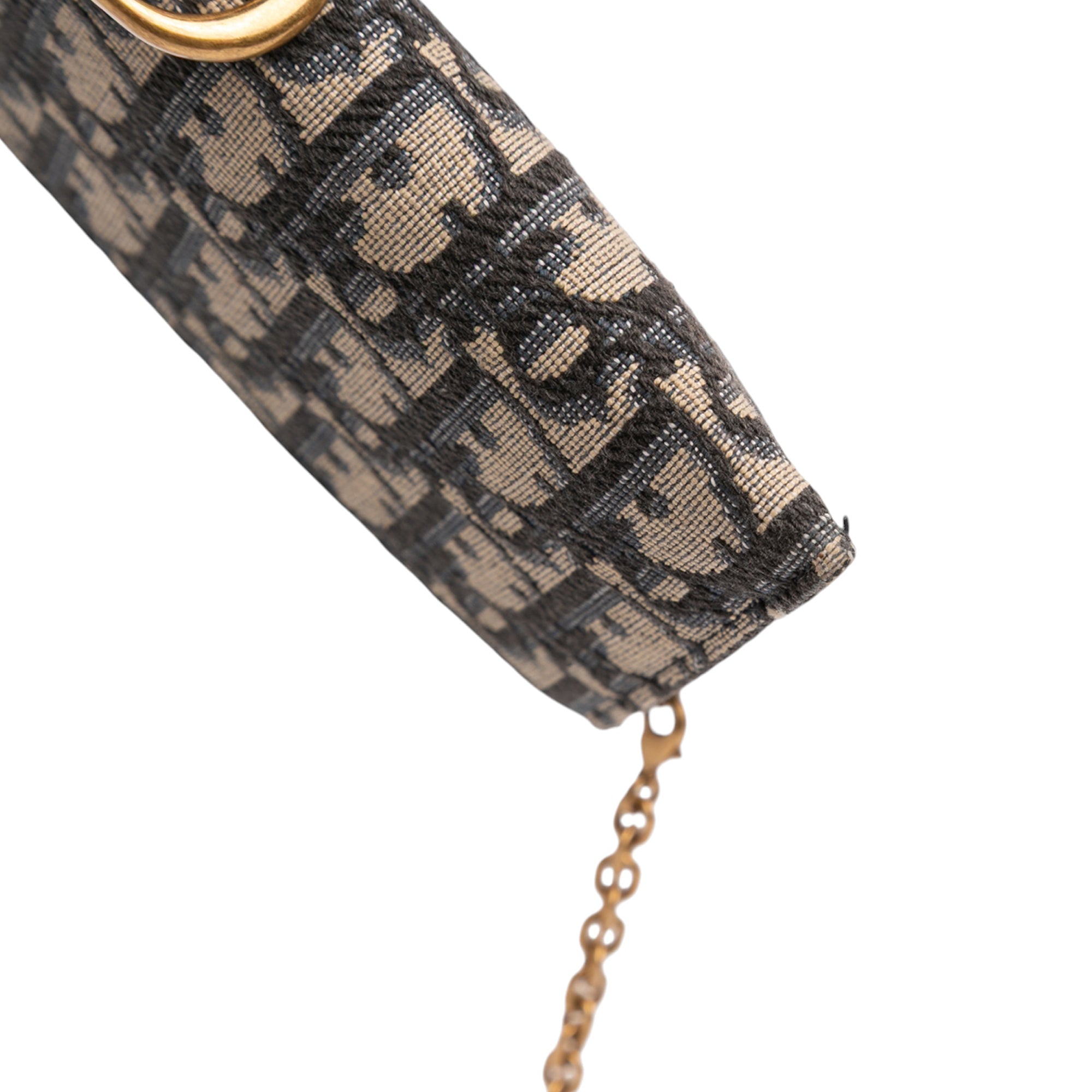 Oblique Canvas Saddle Wallet On Chain