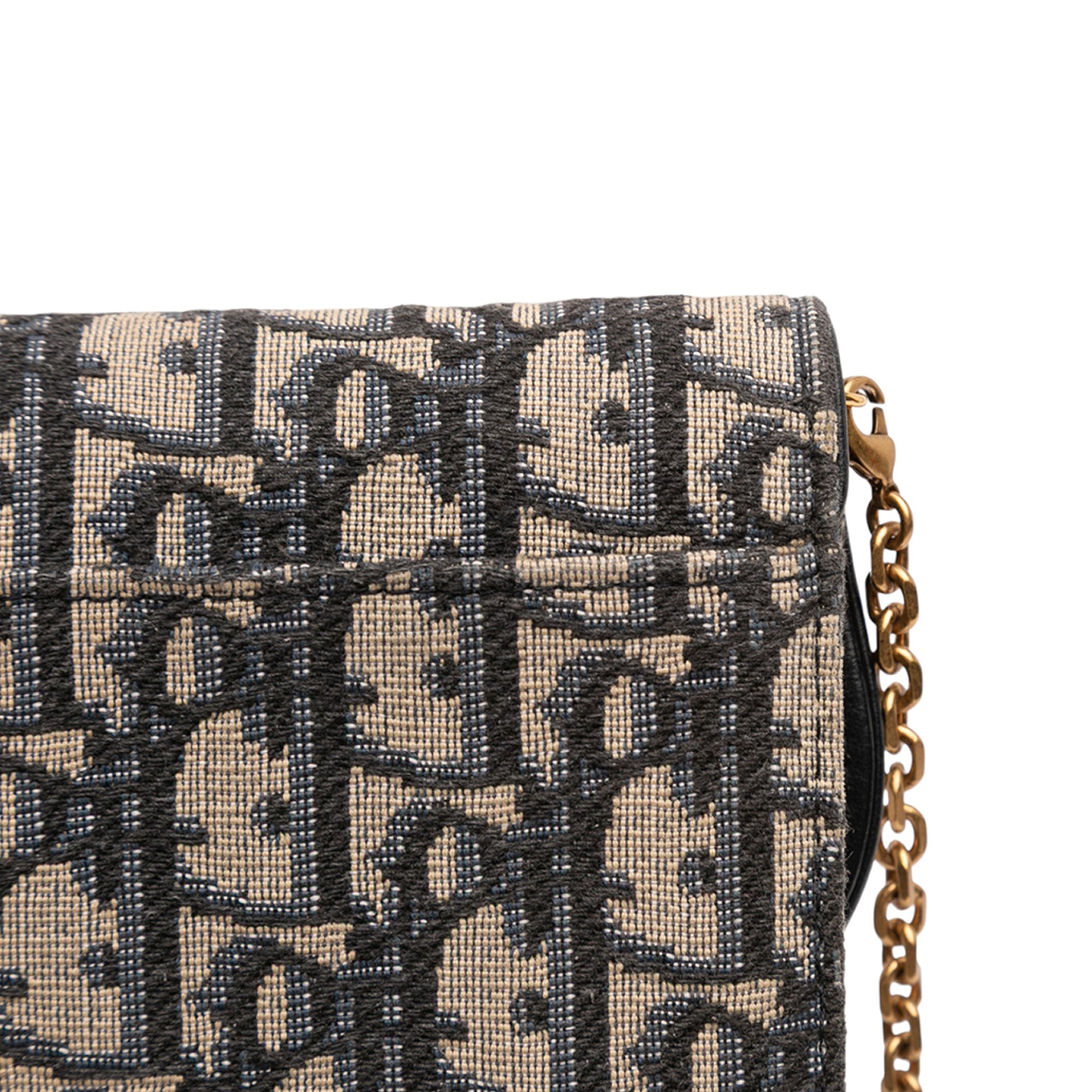 Oblique Canvas Saddle Wallet On Chain