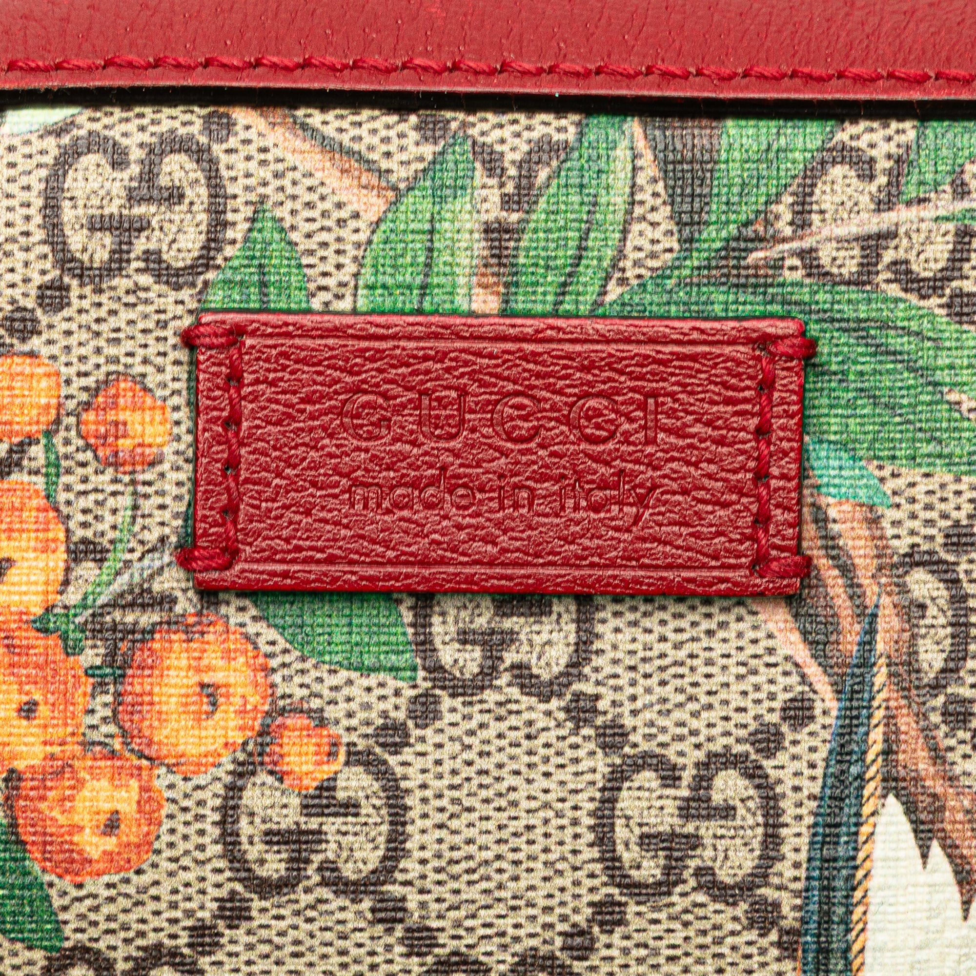 GG Supreme Tian Crossbody