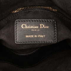 Mini Embroidered Canvas Swords Lady Dior