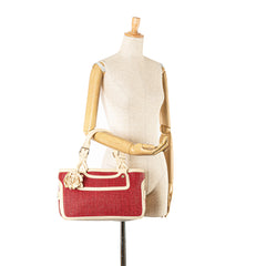 Raffia Boogie Handbag