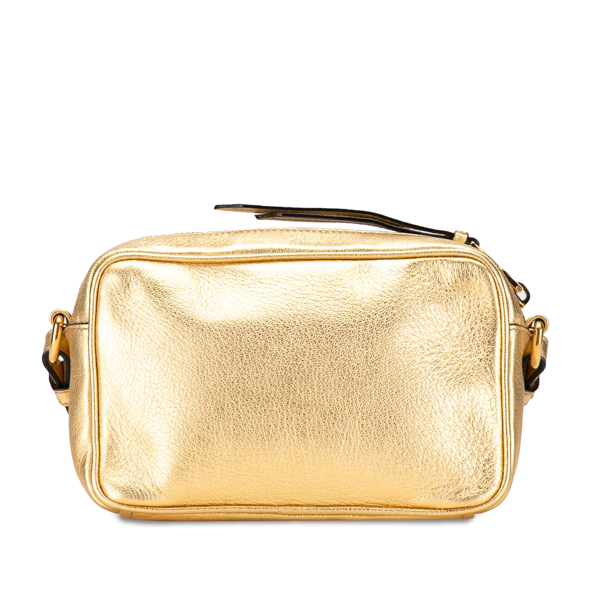 City Calf Metallic Camera Bag_2