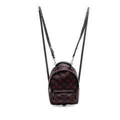 Limited Edition Monogram Infrarouge Mini Palm Springs