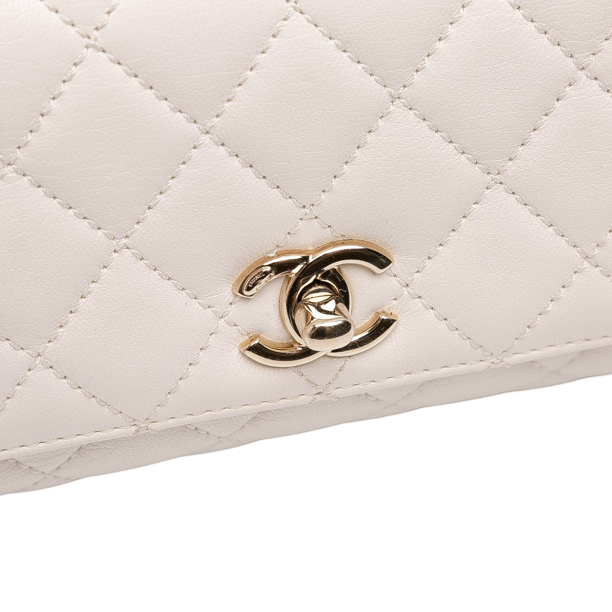 Extra Mini Quilted Goatskin Rainbow Top Handle Flap