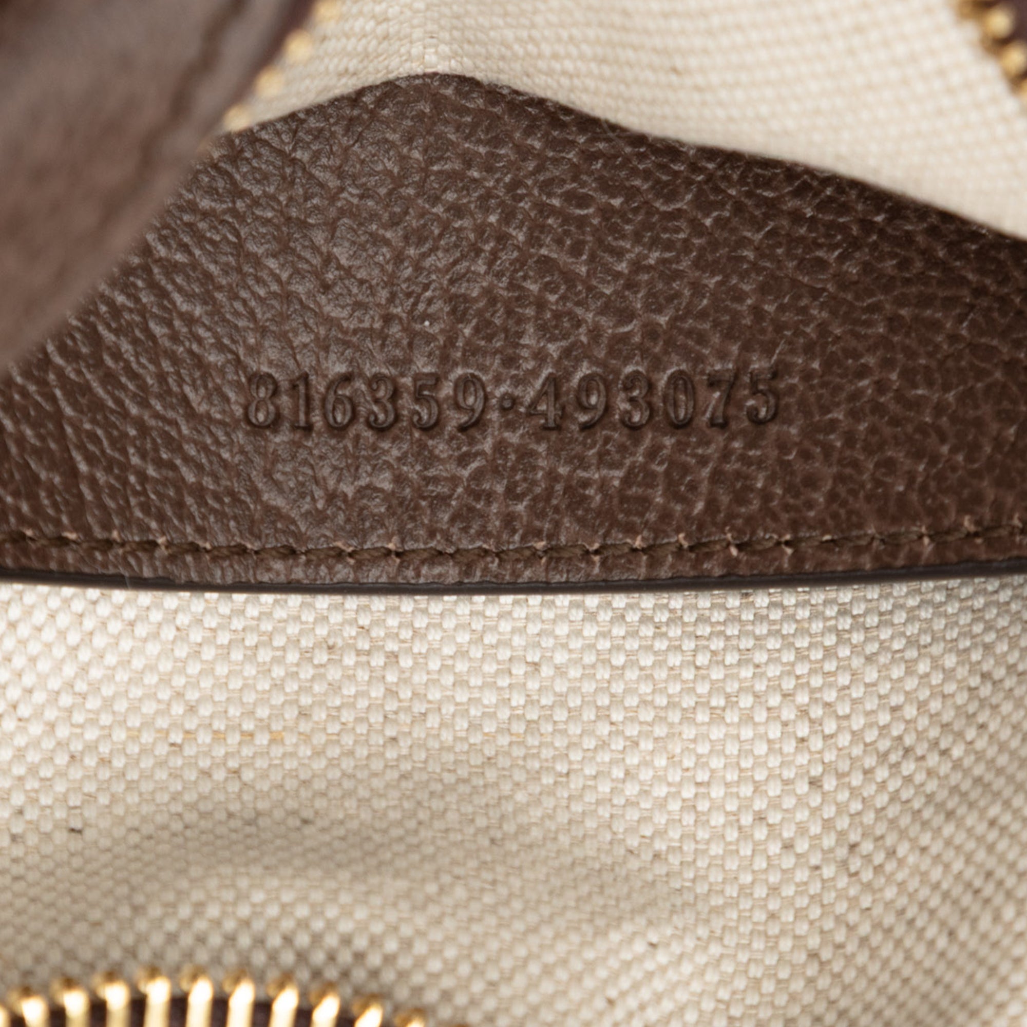 Mini GG Supreme Web Ophidia Crossbody