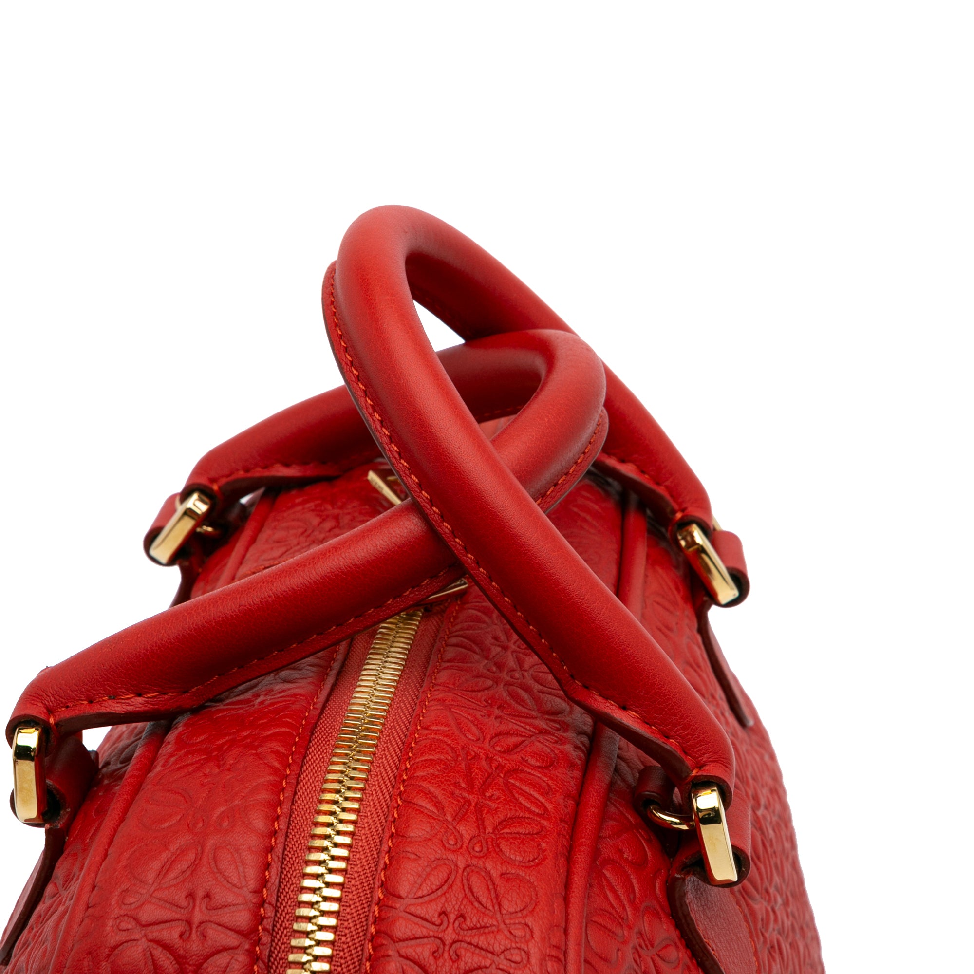 Anagram Embossed Leather Amazona 75