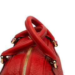 Anagram Embossed Leather Amazona 75
