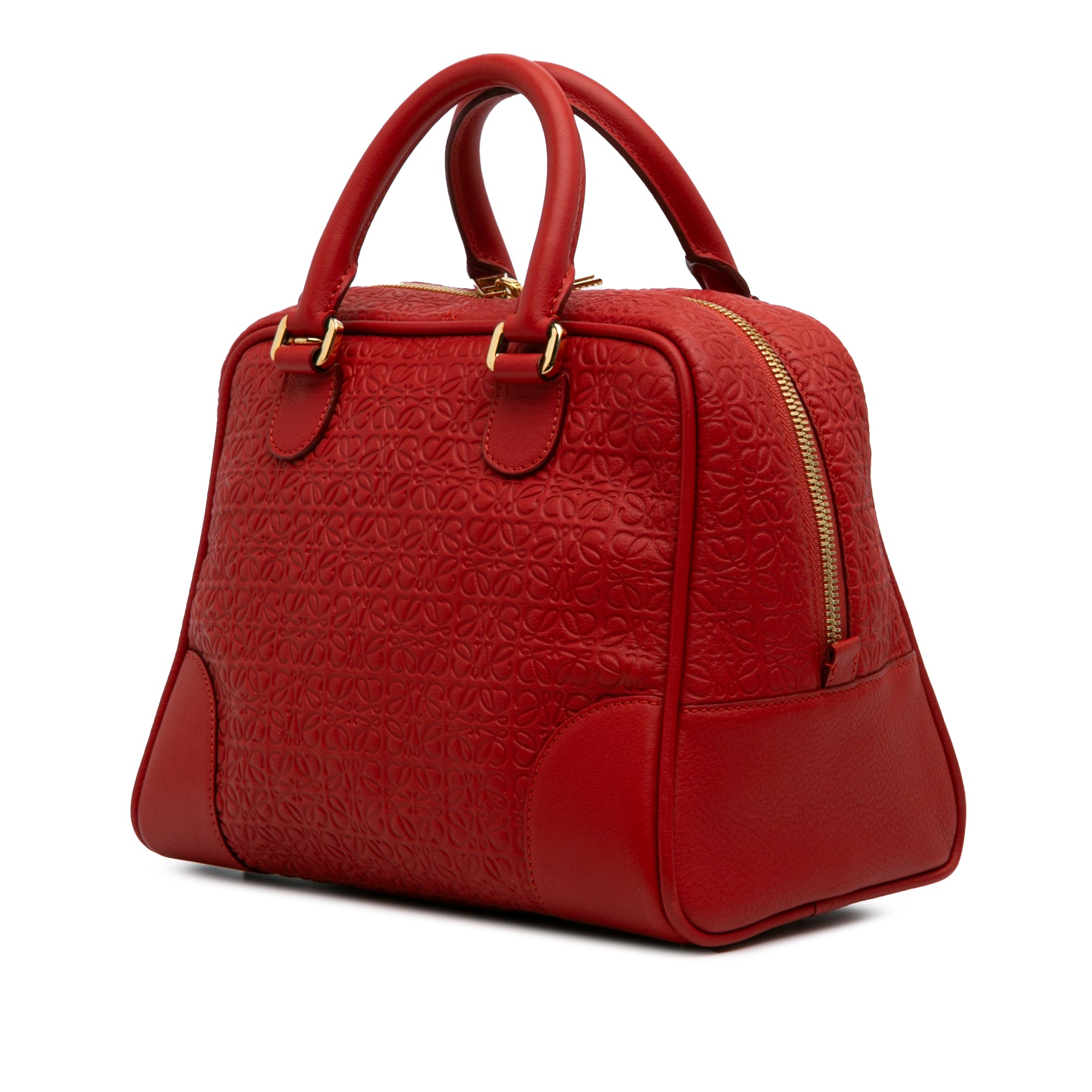 Anagram Embossed Leather Amazona 75