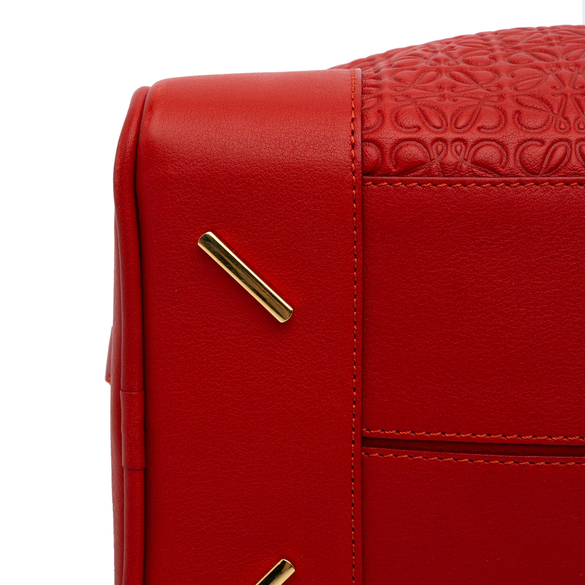 Anagram Embossed Leather Amazona 75