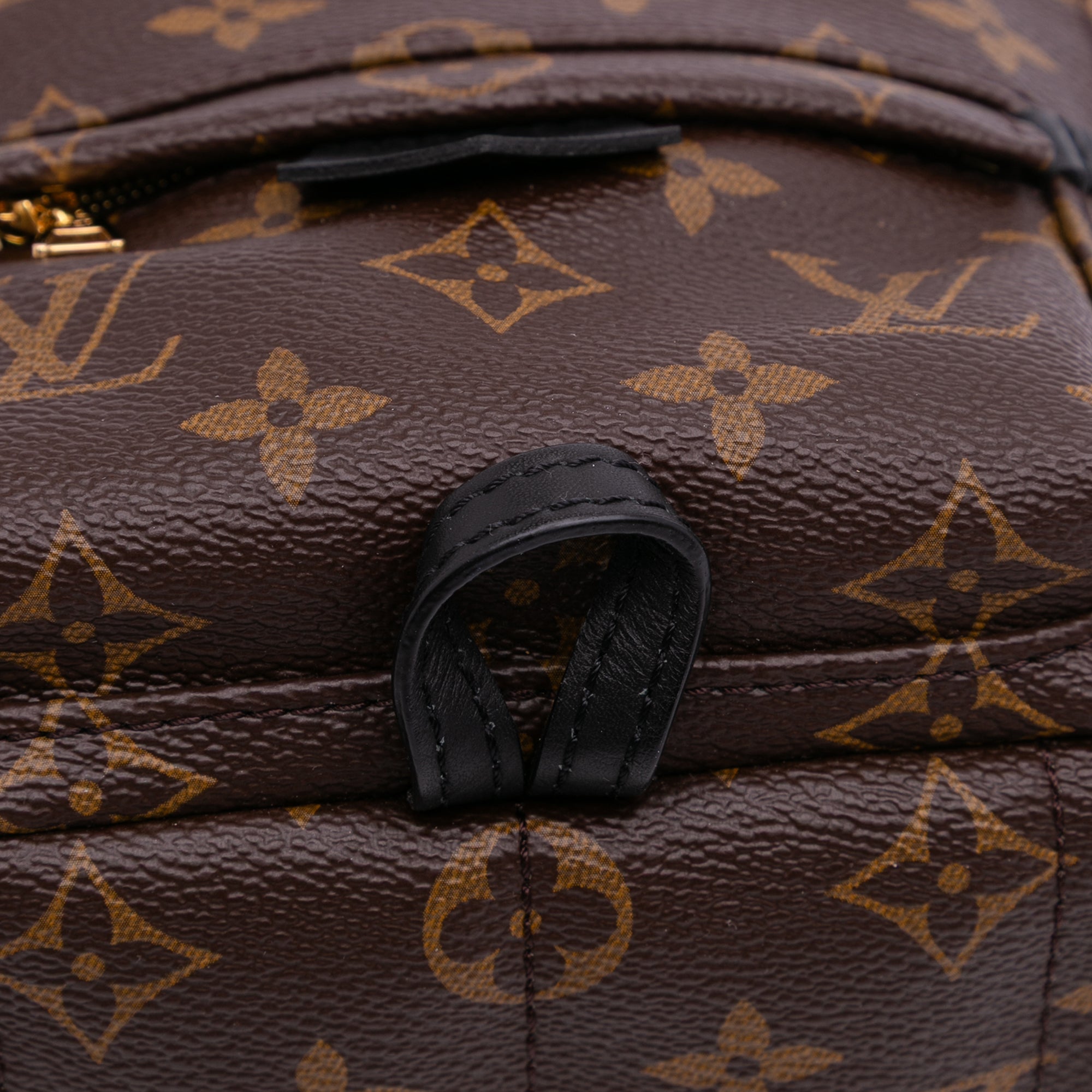Monogram Mini Palm Springs