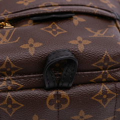 Monogram Mini Palm Springs
