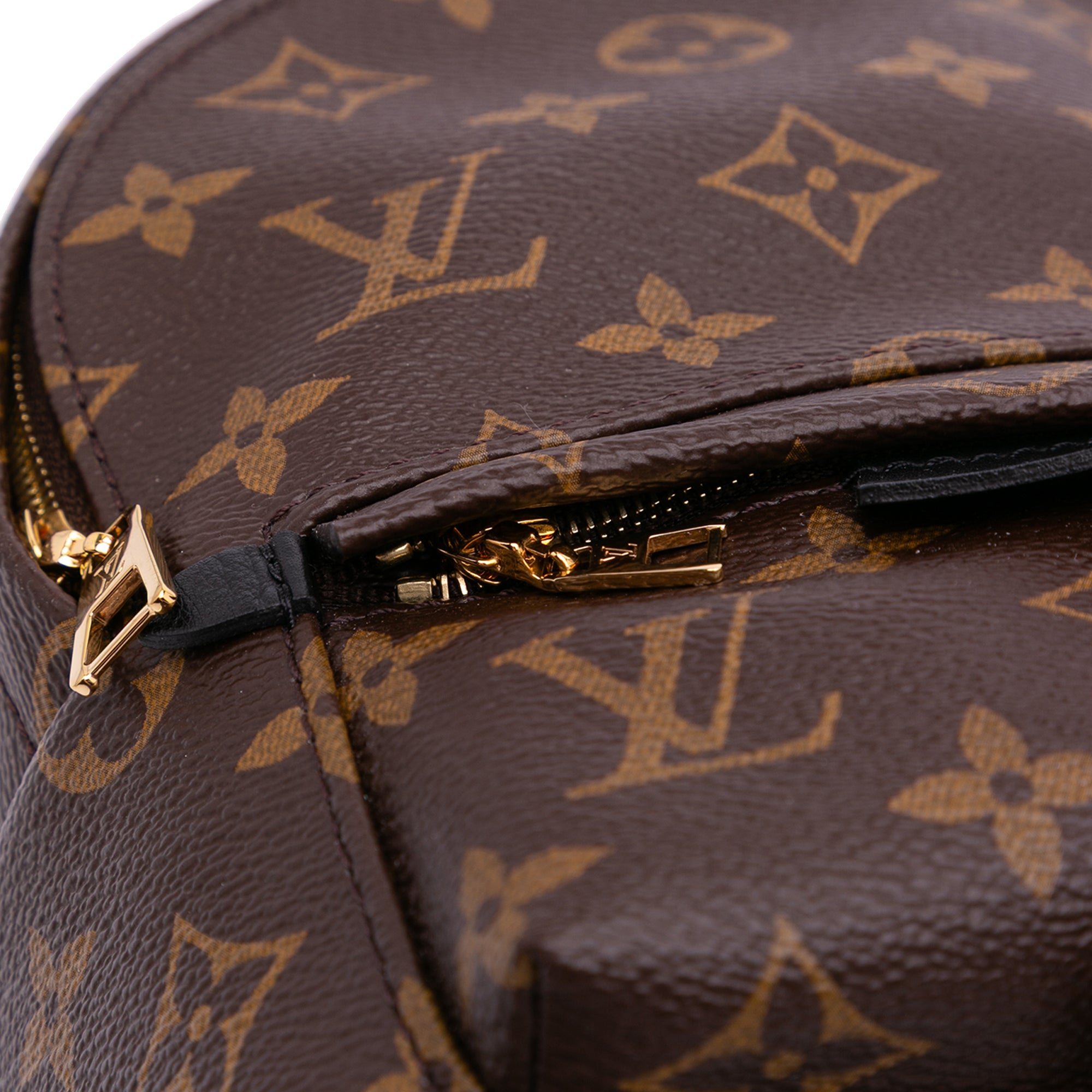 Monogram Mini Palm Springs