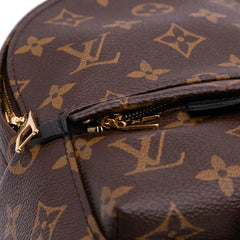 Monogram Mini Palm Springs