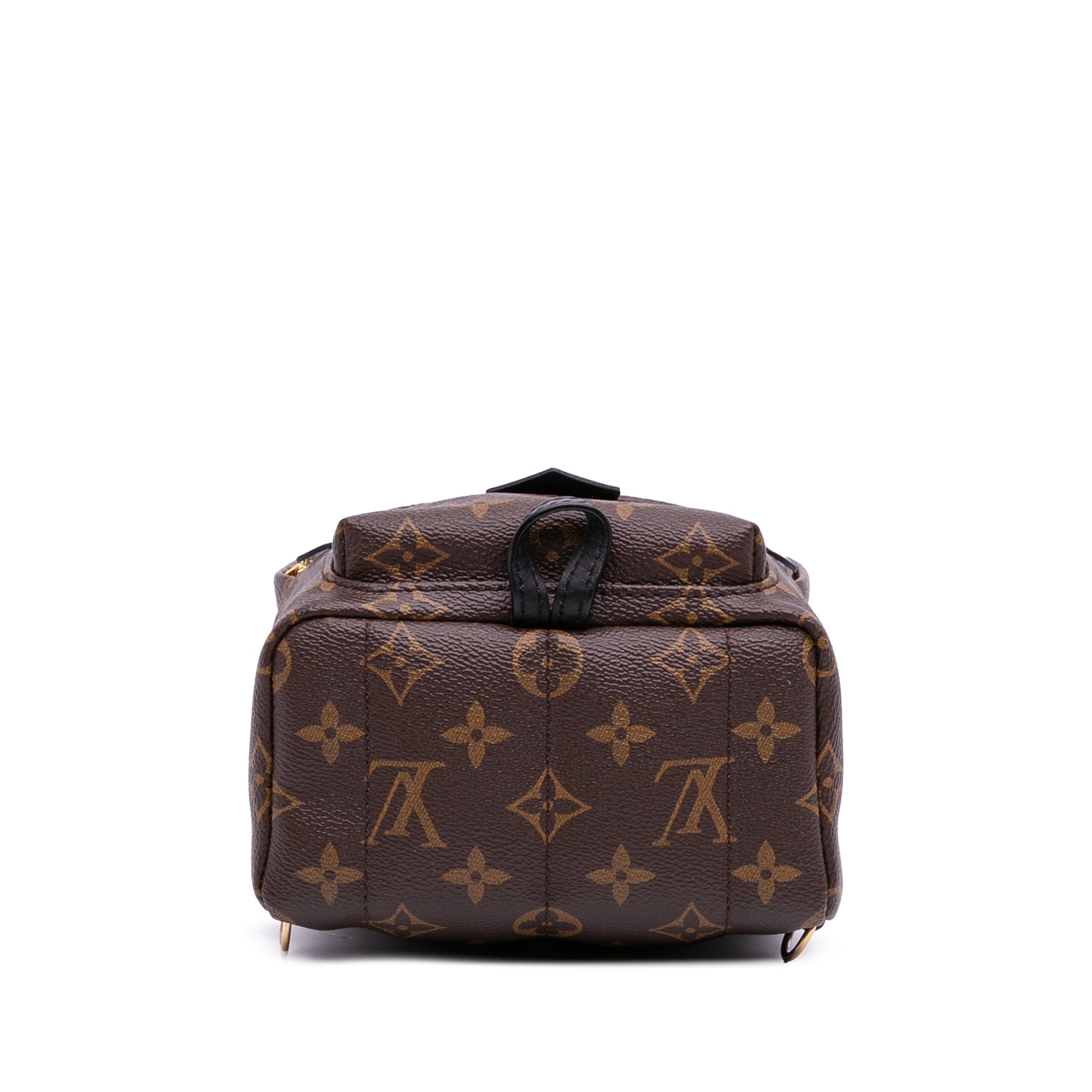 Monogram Mini Palm Springs
