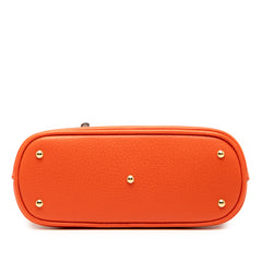 Mini Dollar Calfskin Bamboo Diana Dome Satchel