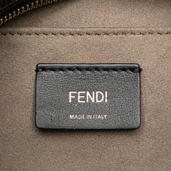 Calfskin F is Fendi Camera Bag