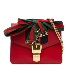Mini Leather Sylvie Chain Crossbody