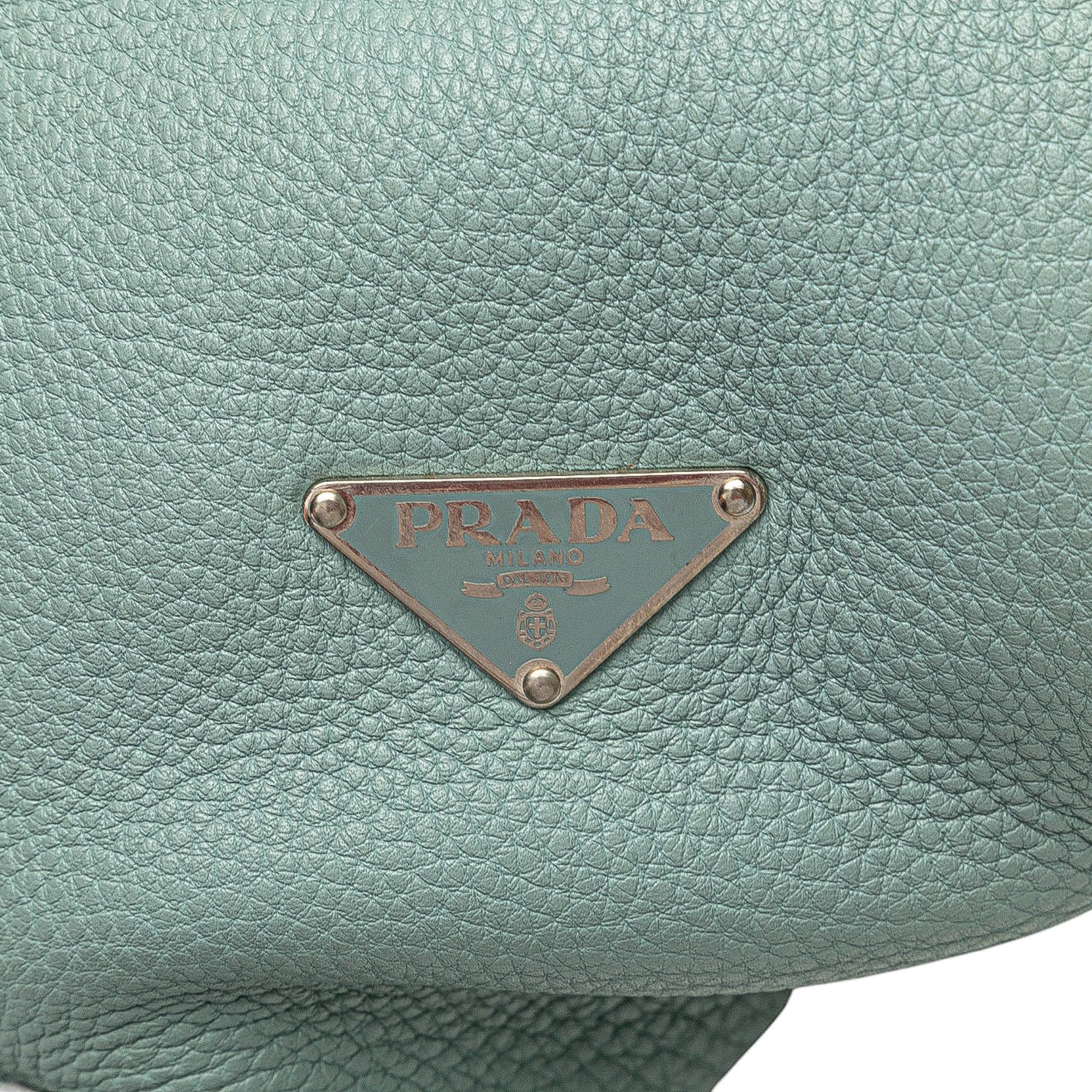 Vitello Daino Shoulder Bag