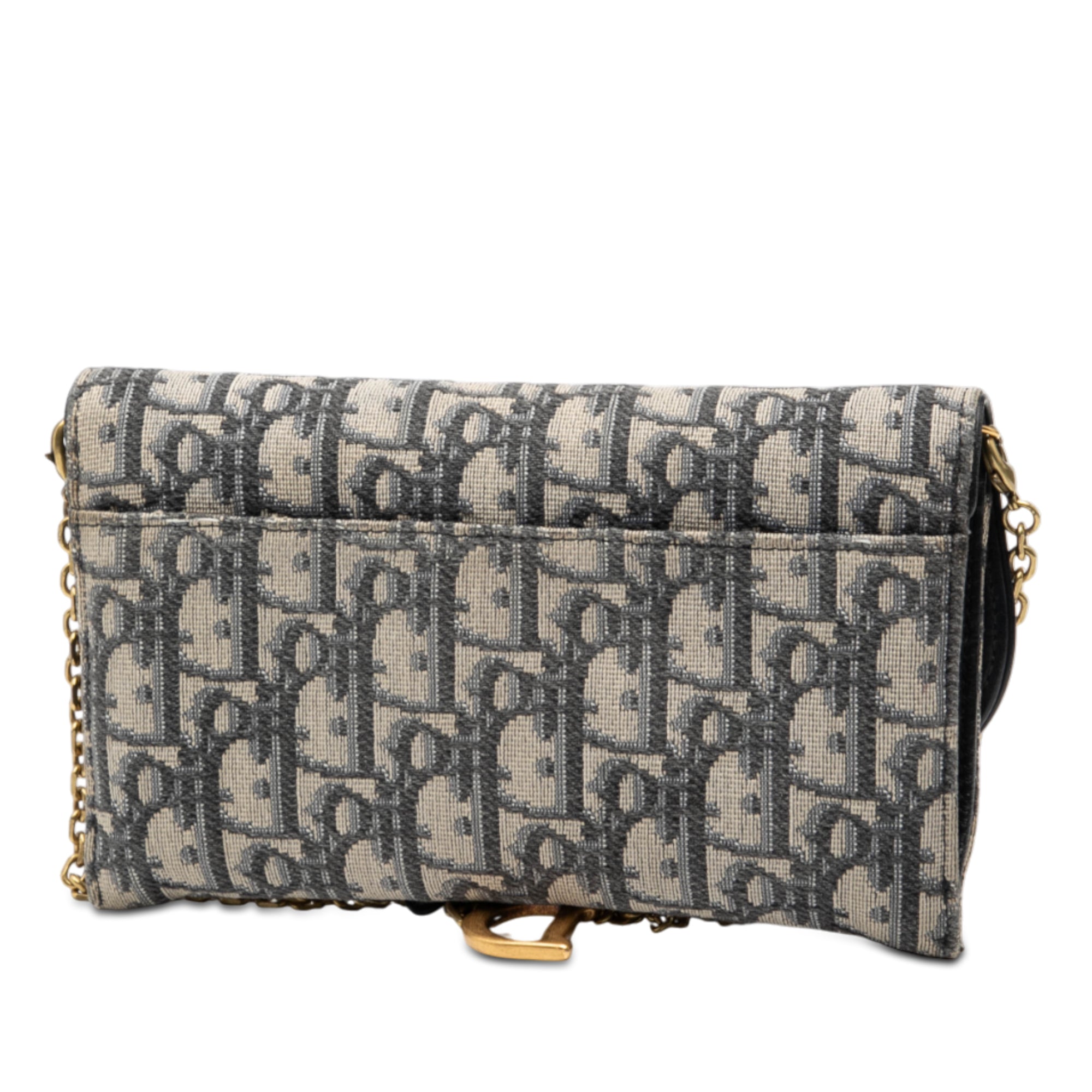 Oblique Canvas Saddle Wallet On Chain