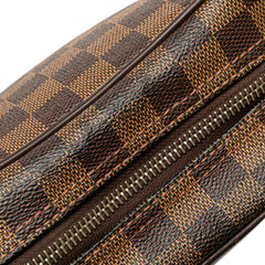 Damier Ebene Olav PM