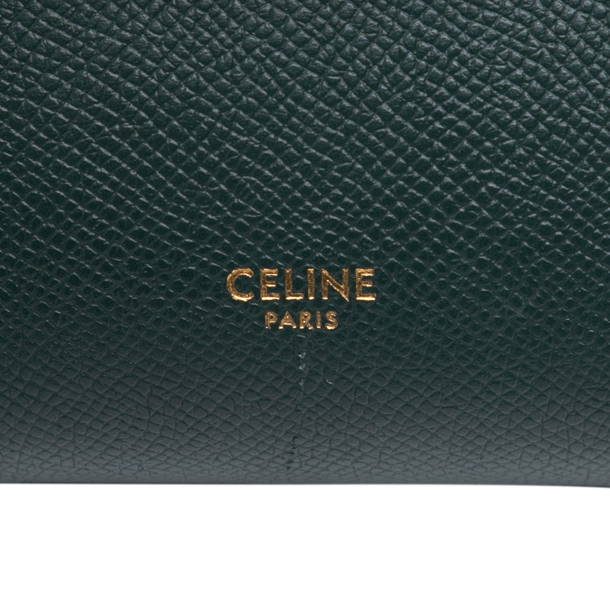 Pico Grained Calfskin Belt Bag