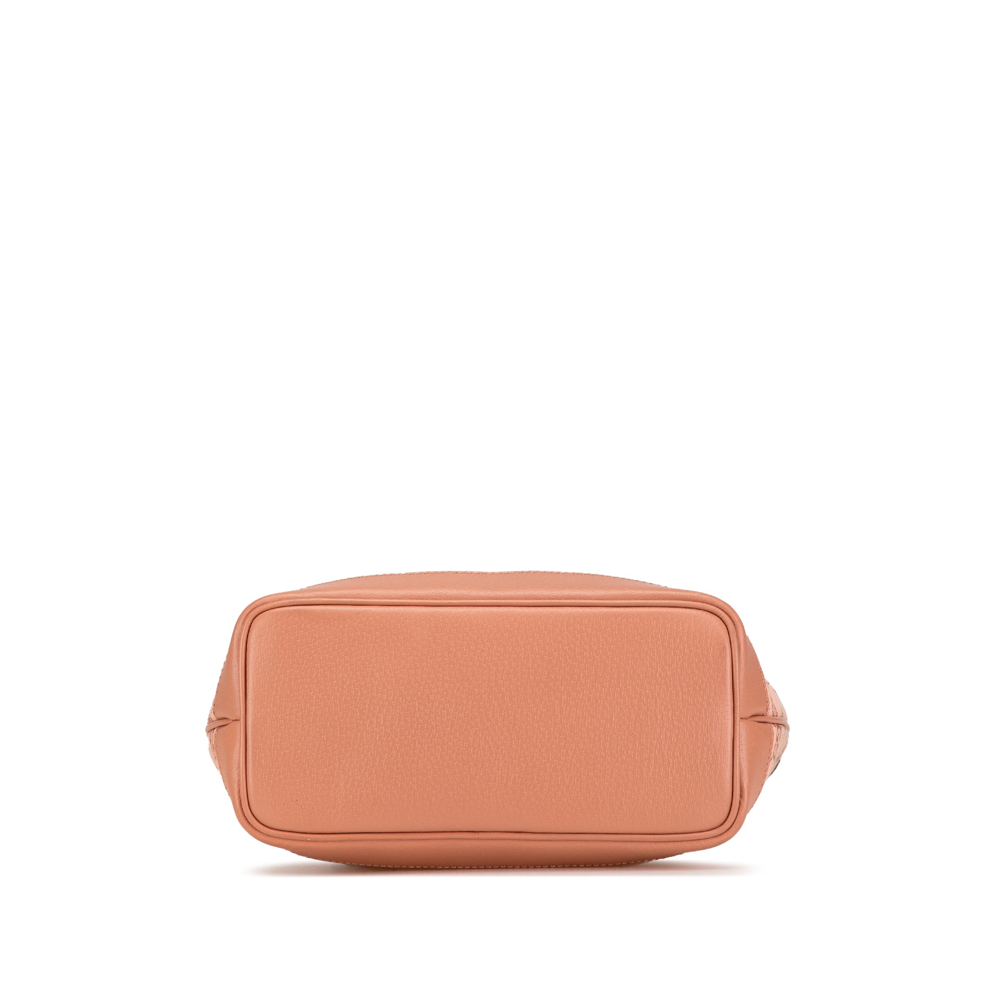 Small GG Canvas Ophidia Tote