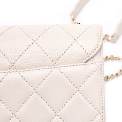 Mini Lambskin Beauty Lock Flap