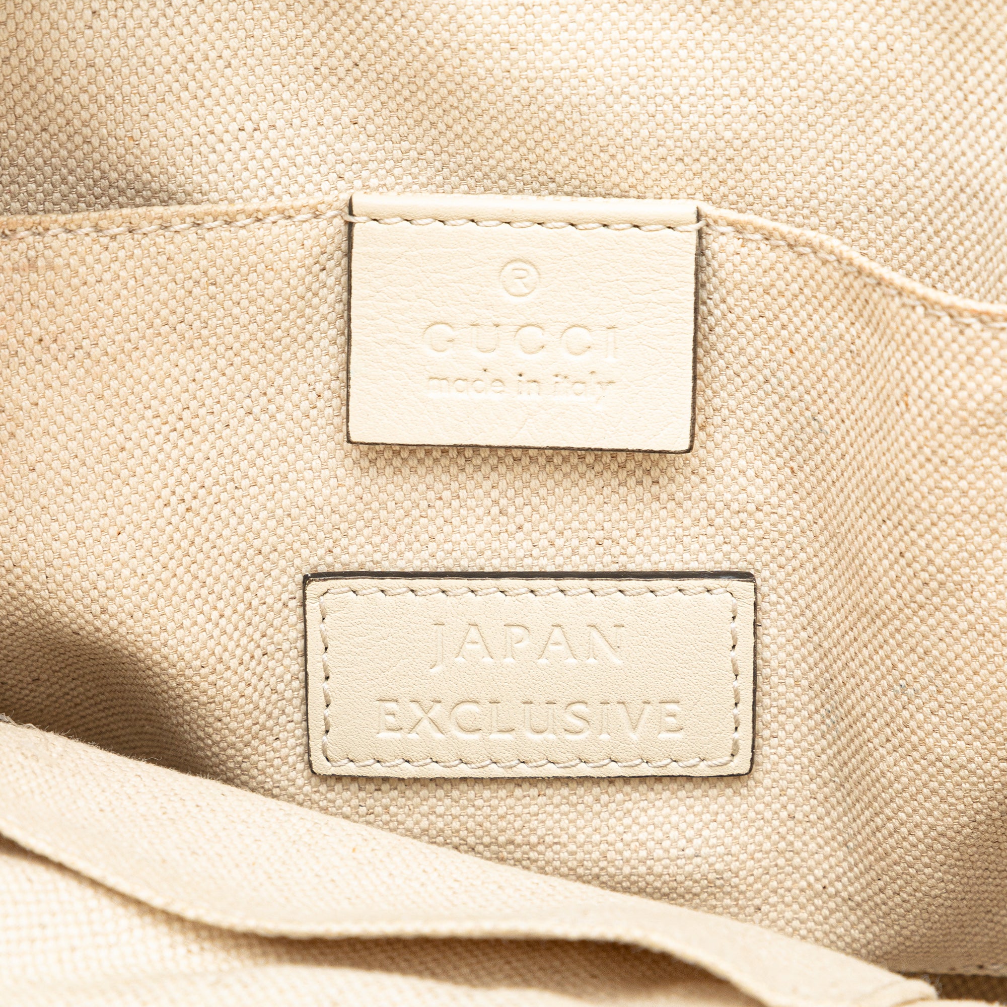 GG Ribbon Herbarium Satchel