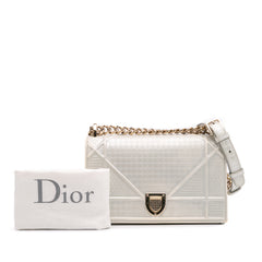 Small Metallic Patent Microcannage Diorama Flap