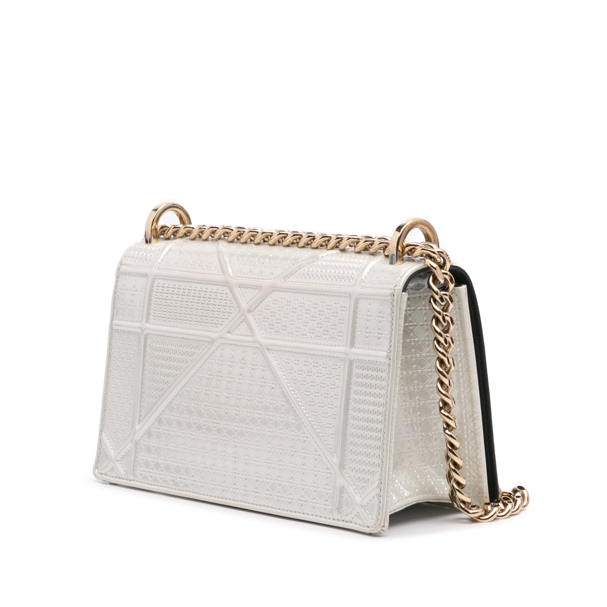 Small Metallic Patent Microcannage Diorama Flap
