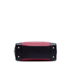 Tricolor Leather Amazona 36