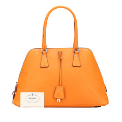 Cinghiale Leather Dome Handbag