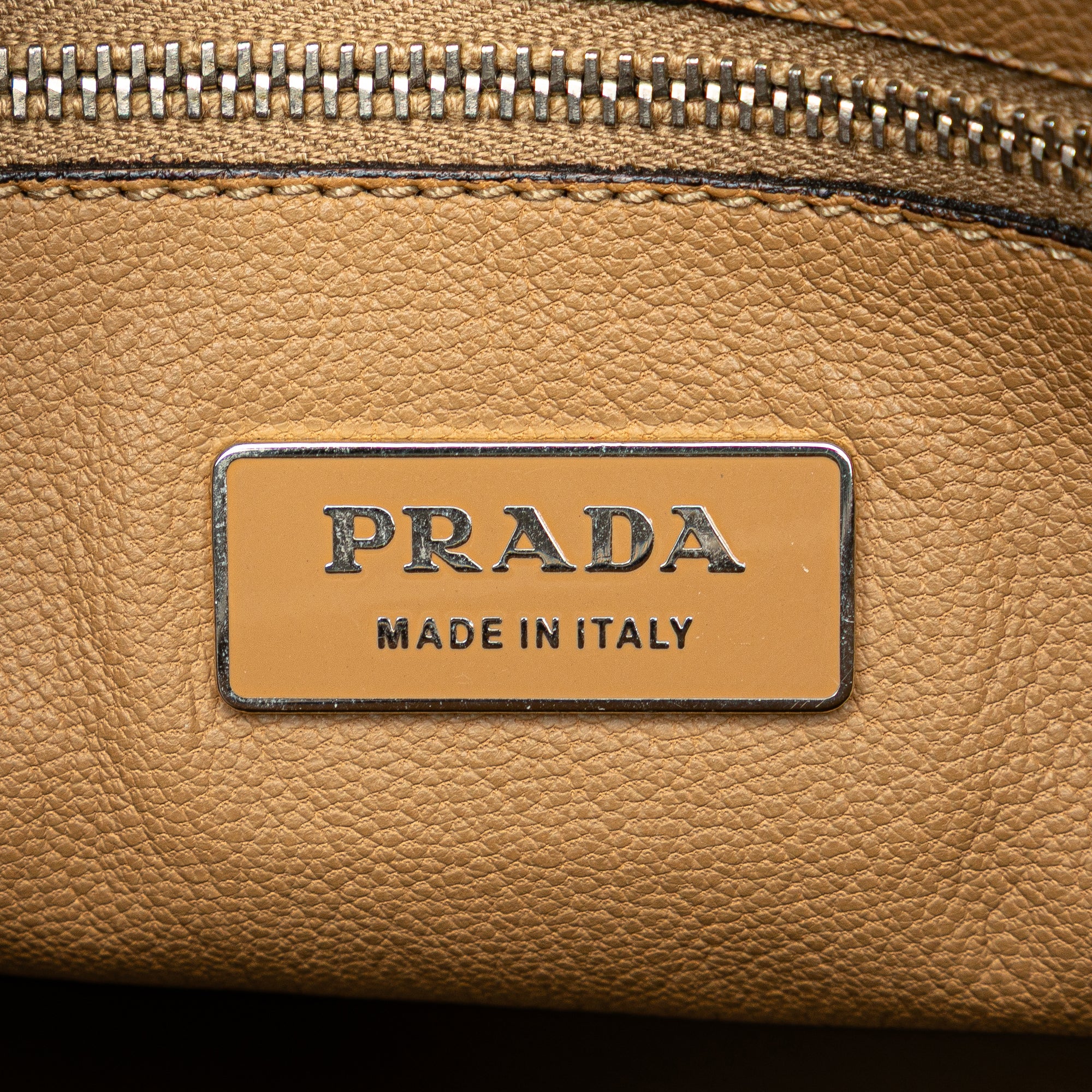 Cinghiale Leather Dome Handbag