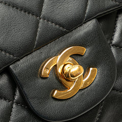 Small Classic Lambskin Double Flap