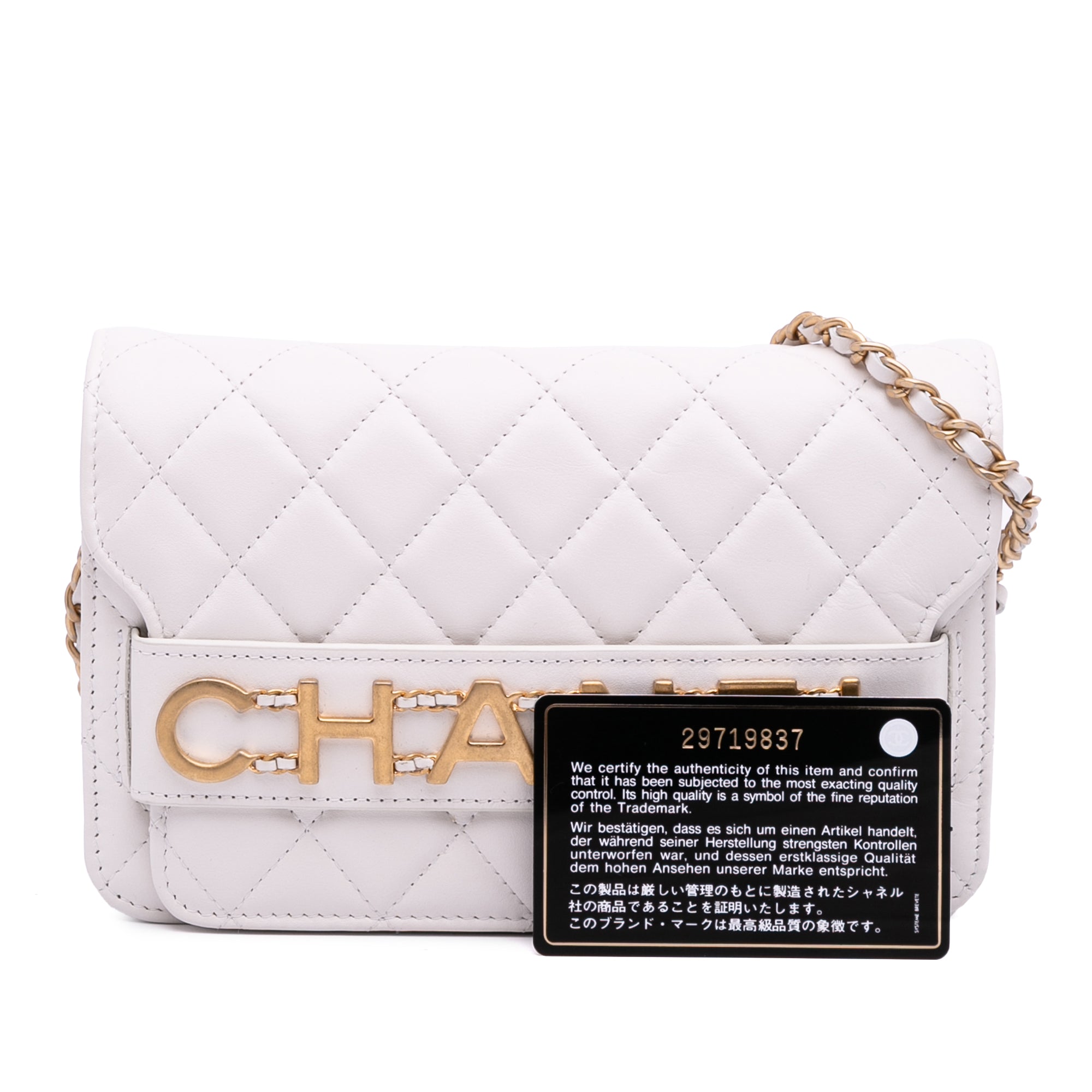 Medium Quilted Calfskin Enchained Flap