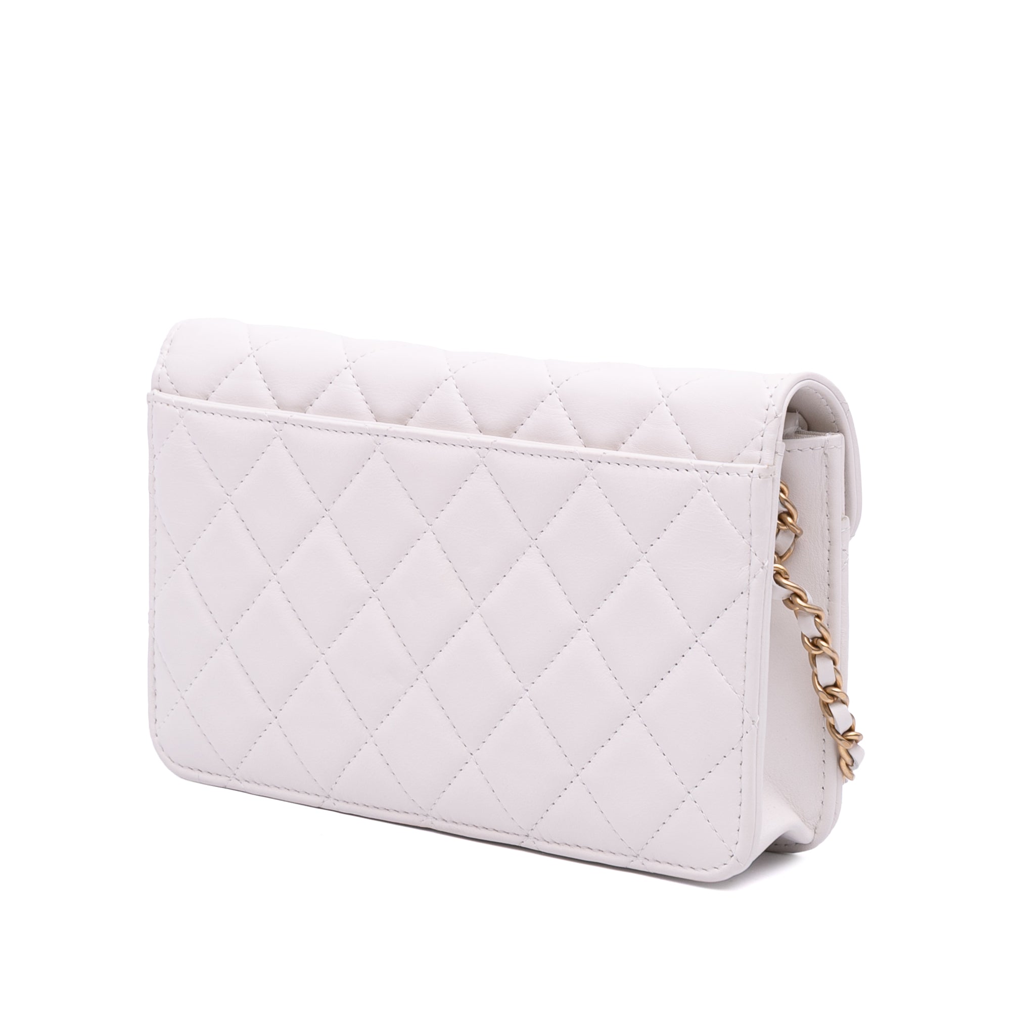 Medium Quilted Calfskin Enchained Flap