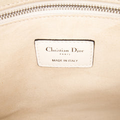Medium Lambskin Embroidered and Beaded Lady D Lite