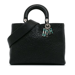 Large Canyon Grained Lambskin Lady Dior_0