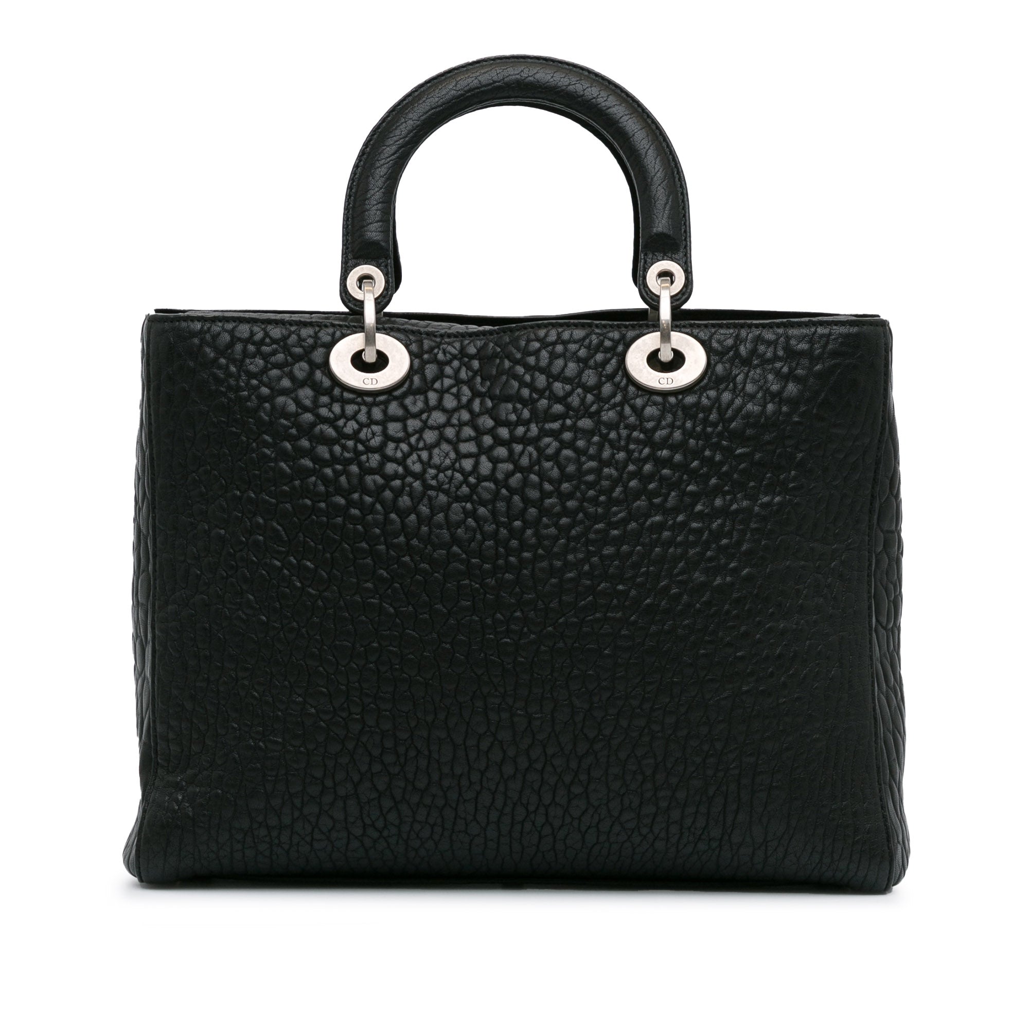 Large Canyon Grained Lambskin Lady Dior_2