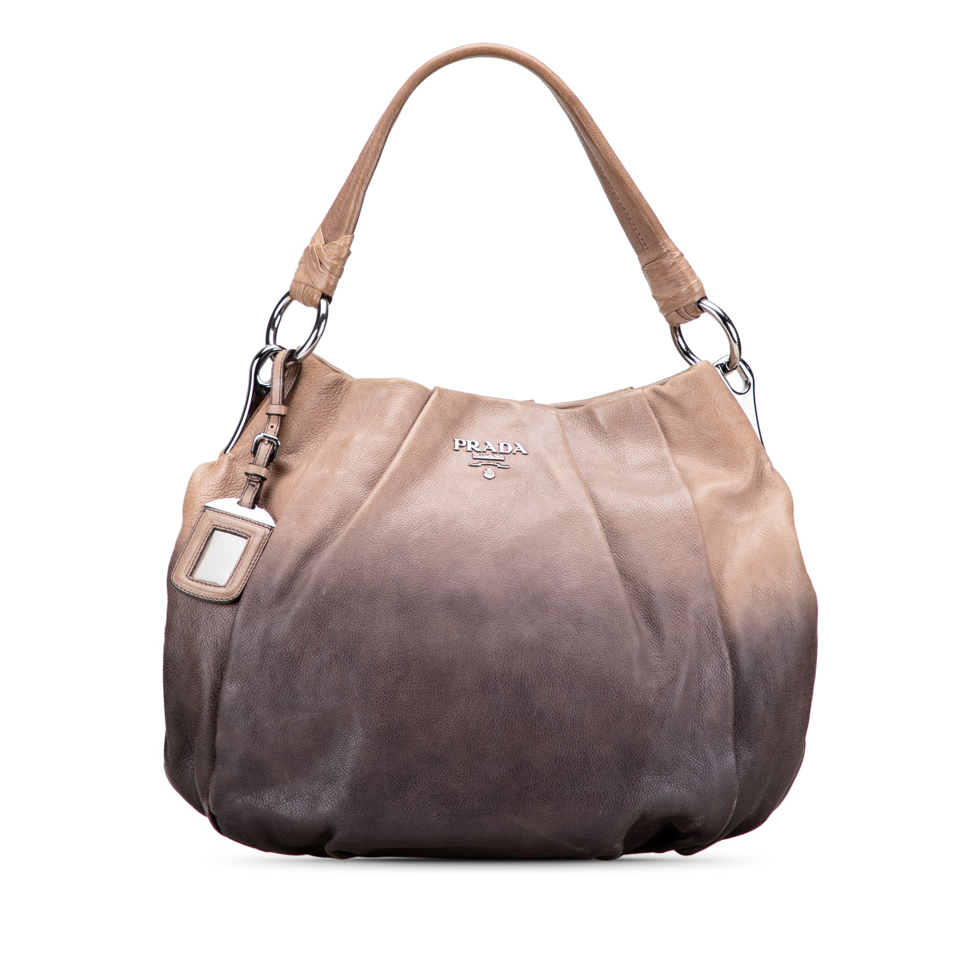 Glace Calf Ombre Pleated Hobo