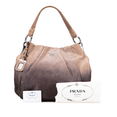 Glace Calf Ombre Pleated Hobo