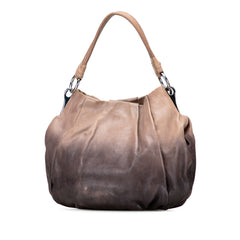 Glace Calf Ombre Pleated Hobo