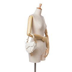 Mini Oblique Canvas Saddle Bag